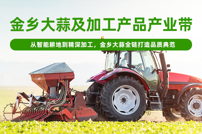 大蒜加工产业带